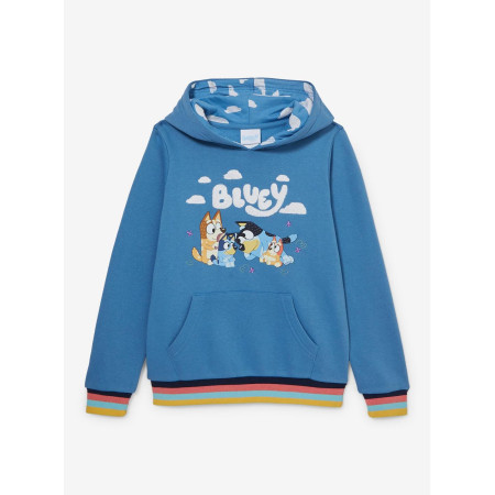 Bluey Family Portrait Youth Hoodie 32271693_hi?$productMainDesktop$&fmt=auto