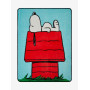 Peanuts Snoopy Doghouse Fleece Throw32521614_hi?$productMainDesktop$&fmt=auto